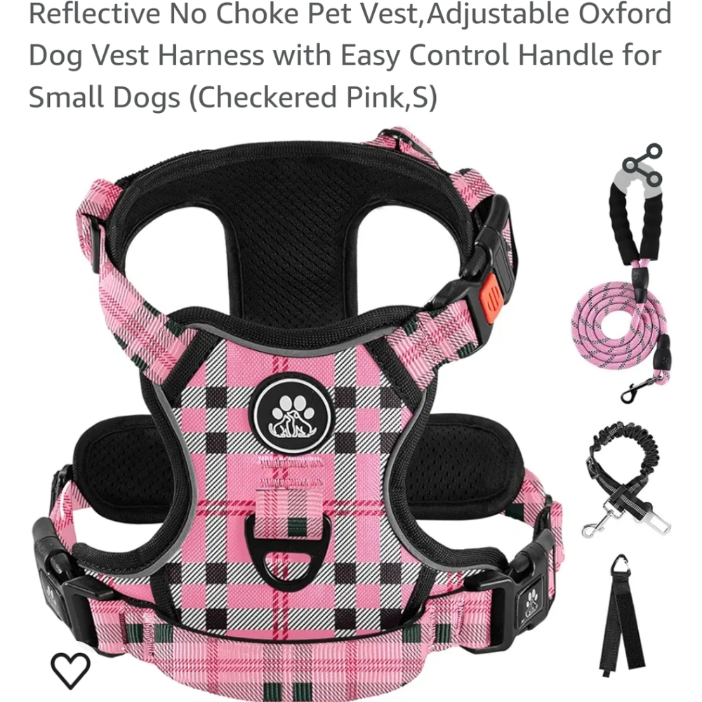 Small dog harness and leash